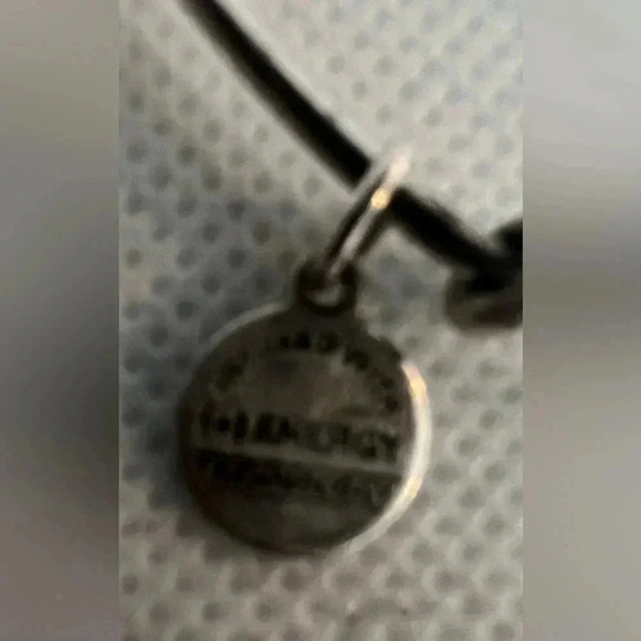 Alex and Ani | Skeleton Key charm bracelet. - Picture 9 of 12